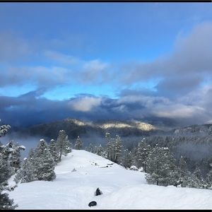 Meet your Posher, Maya